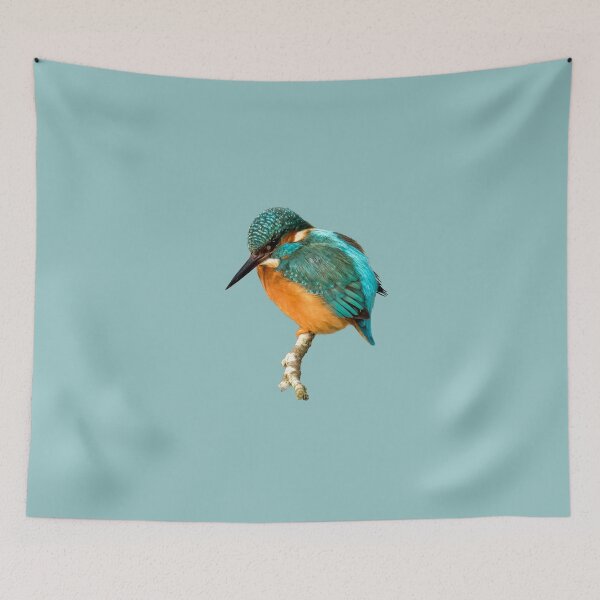 Item preview, Common Kingfisher Placement Print designed and sold by Jane Stanley Photography.