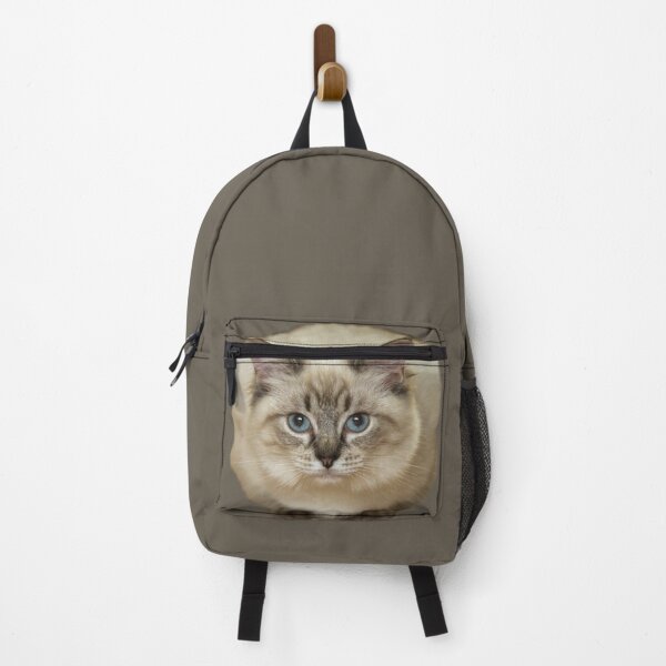 Item preview, Ragdoll Kitty Cat Placement Print designed and sold by Jane Stanley Photography.