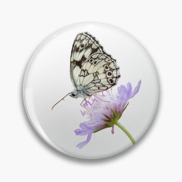Item preview, Marbled White Butterfly Placement Print designed and sold by Jane Stanley Photography.