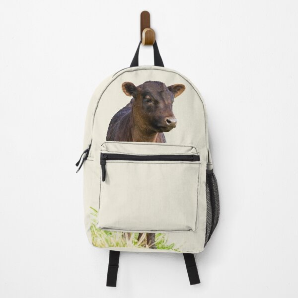 Item preview, Standing Dexter Cow II Placement Print designed and sold by Jane Stanley Photography.