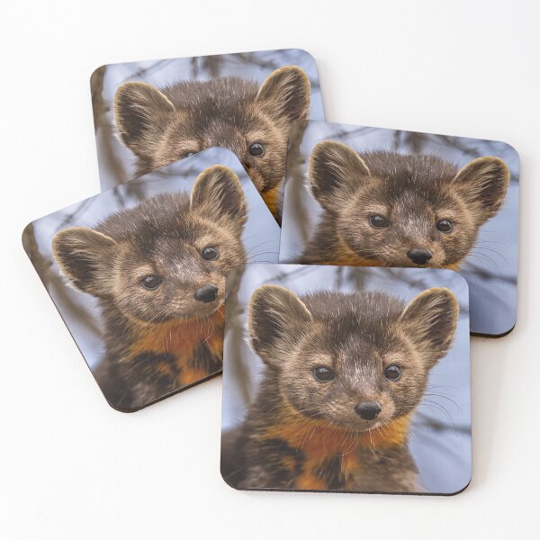 Item preview, Pine Marten Portrait  designed and sold by Vargulich.