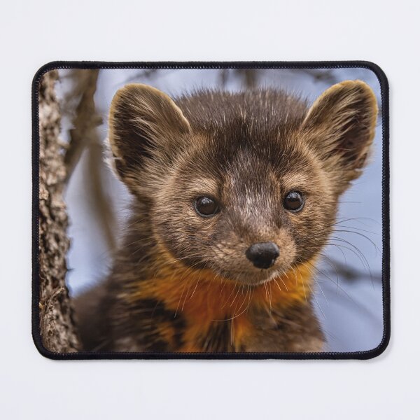 Item preview, Pine Marten Portrait  designed and sold by Vargulich.