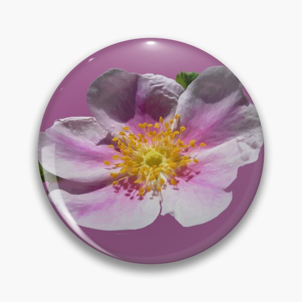 Item preview, Wild Prairie Rose Floral Vector designed and sold by taiche.