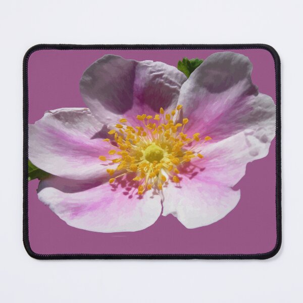 Item preview, Wild Prairie Rose Floral Vector designed and sold by taiche.
