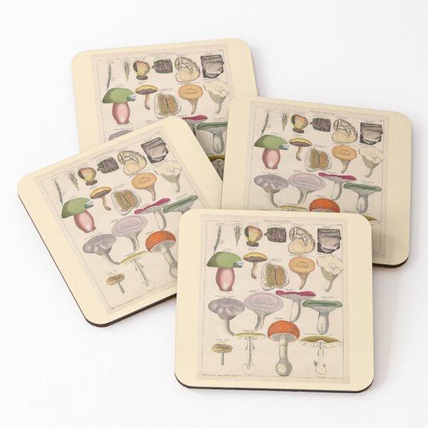 Item preview, Vintage Poisonous Mushrooms illustration designed and sold by Bruiserstang.