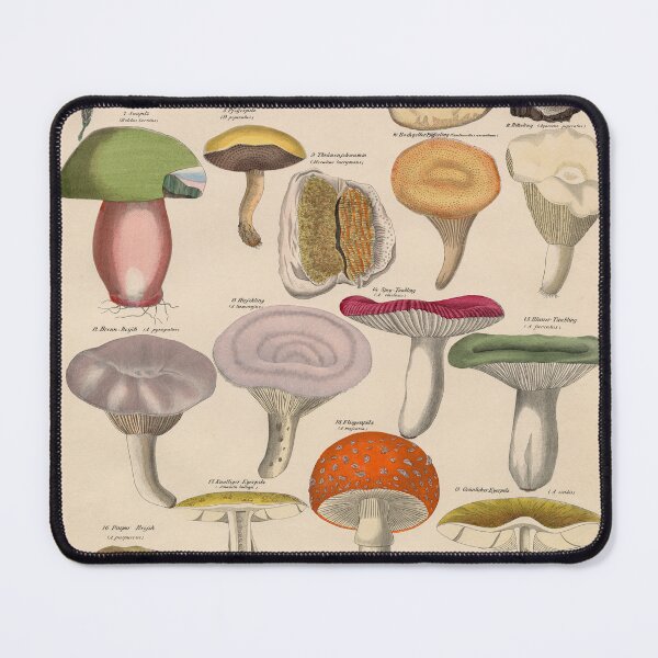 Item preview, Vintage Poisonous Mushrooms illustration designed and sold by Bruiserstang.