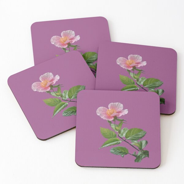 Item preview, Pink Wild Prairie Rose Vector Art designed and sold by taiche.