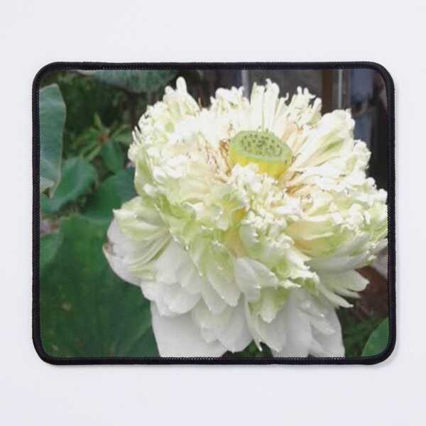 Item preview, Very large white umbrella lotus designed and sold by Billiard6163.