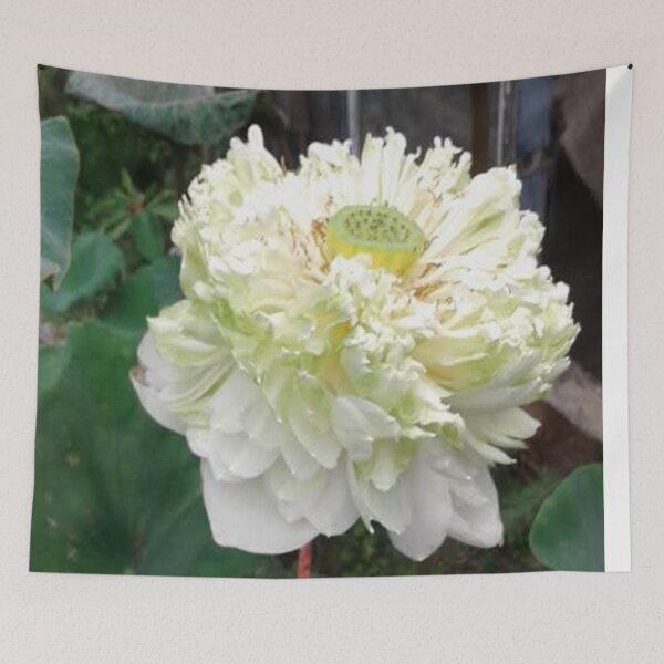 Item preview, Very large white umbrella lotus designed and sold by Billiard6163.