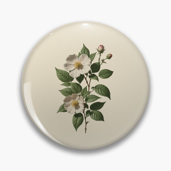 Item preview, Rosa laevigata Botanical Art Vector designed and sold by taiche.