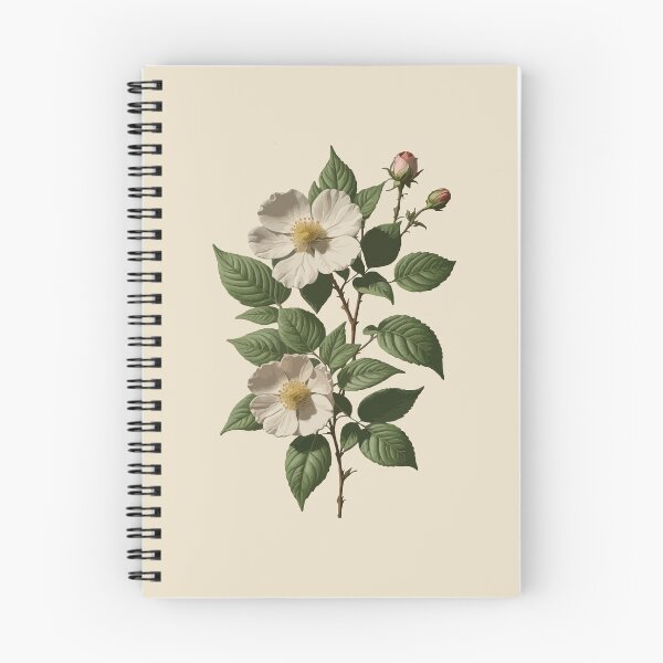Item preview, Rosa laevigata Botanical Art Vector designed and sold by taiche.