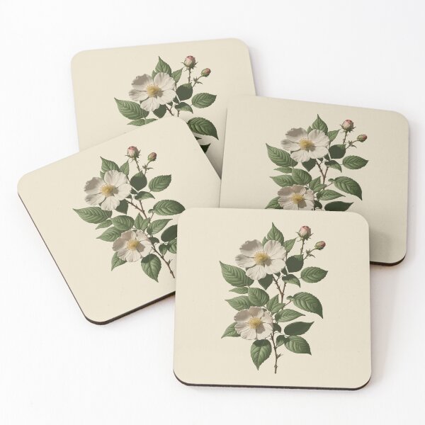 Item preview, Rosa laevigata Botanical Art Vector designed and sold by taiche.