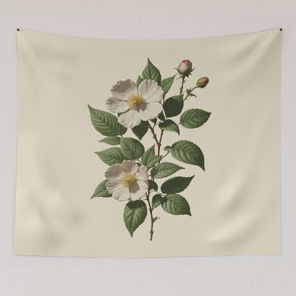 Item preview, Rosa laevigata Botanical Art Vector designed and sold by taiche.