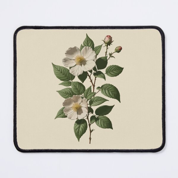 Item preview, Rosa laevigata Botanical Art Vector designed and sold by taiche.
