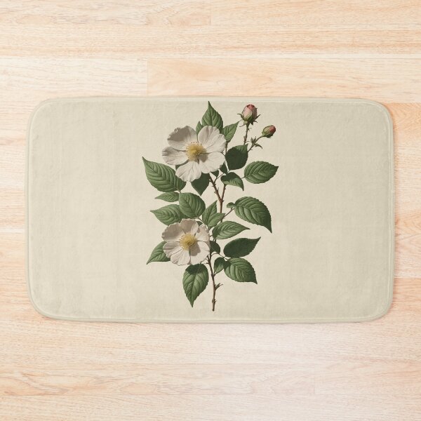Item preview, Rosa laevigata Botanical Art Vector designed and sold by taiche.