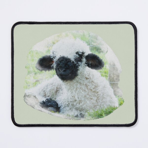 Item preview, Valais Blacknose Lamb Watercolour Photograph designed and sold by Jane Stanley Photography.