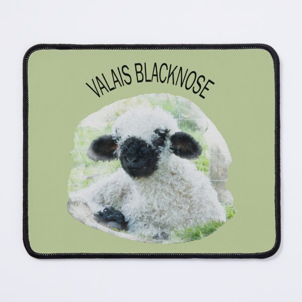 Item preview, Valais Blacknose Lamb Watercolour Photograph with text designed and sold by Jane Stanley Photography.