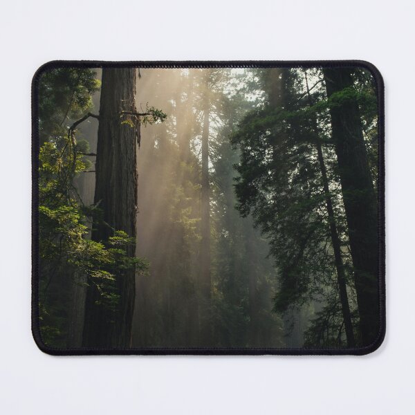 Item preview, Deep forest designed and sold by L’Éclat designs.