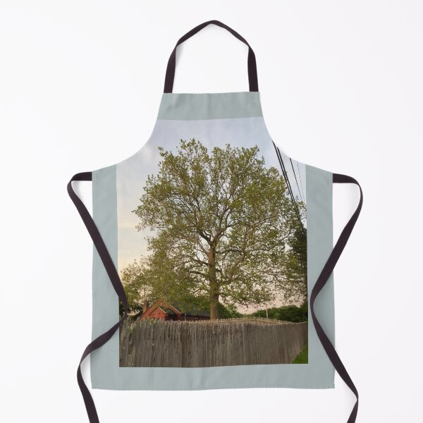 Item preview, Sycamore Tree at Sunset in June designed and sold by Amanda1775.