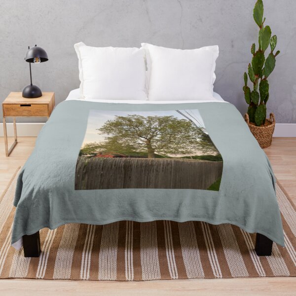 Item preview, Sycamore Tree at Sunset in June  designed and sold by Amanda1775.