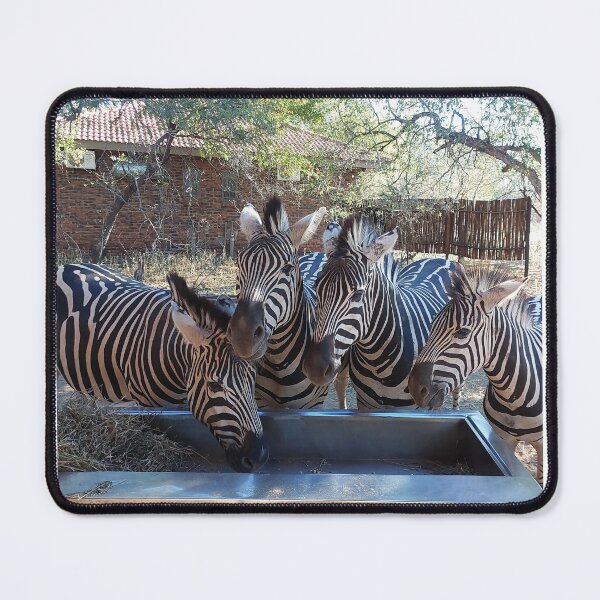 Item preview, African mountain Zebra designed and sold by Fox-Hound.
