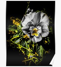 Black and Yellow Blooming Flower Poster
