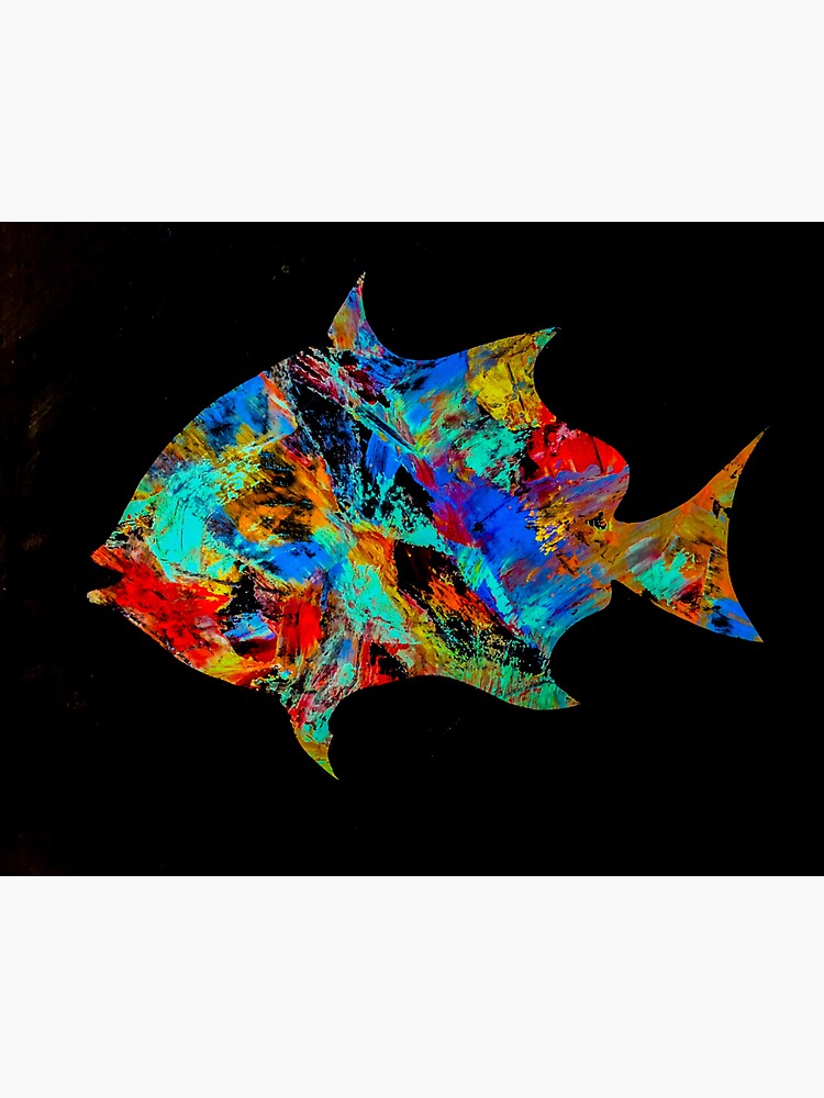 The Ugly Spadefish by barryknauff