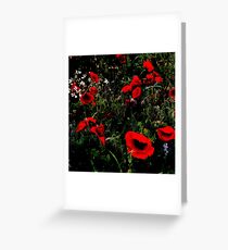 Asleep in the Poppies Greeting Card