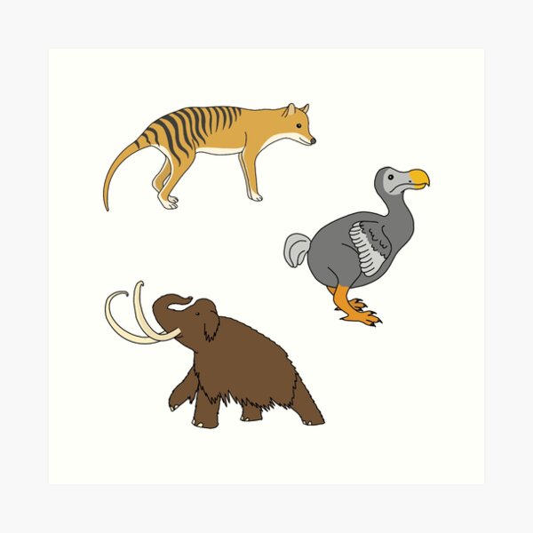 Item preview, Extinct Animals designed and sold by Leapingdoe.