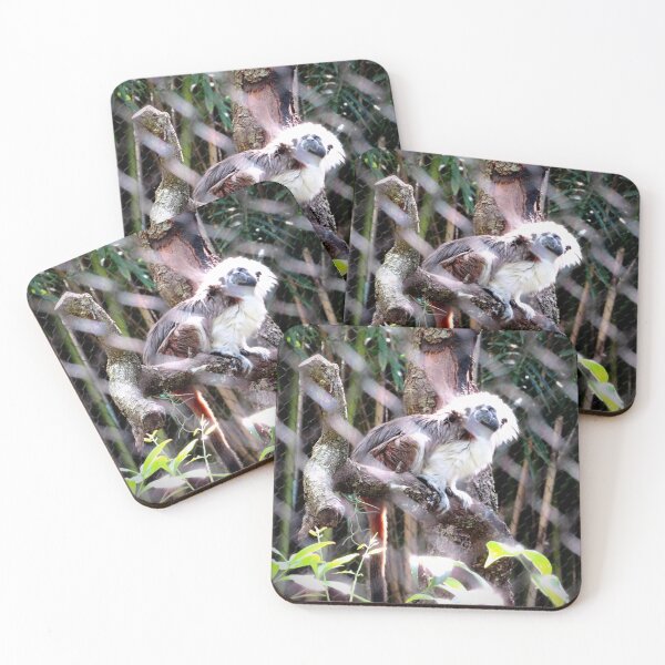 Item preview, Cotton-Top Tamarin designed and sold by ShutterbugBttns.