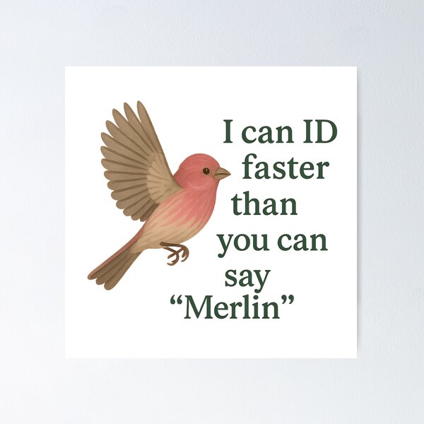 Item preview, I Can ID Faster Than You Can Say Merlin – Funny Birder Quote Design designed and sold by Brainy Bird's Place.