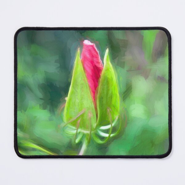 Item preview, Star of Texas Swamp Hibiscus Bloom X145 designed and sold by RichFrancoCars.
