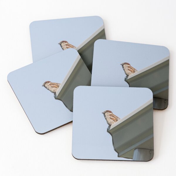 Item preview, Male House Sparrow Perched on a Roof designed and sold by KRFNatureGifts.