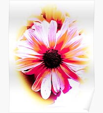 Pink Sunrise Flower Poster