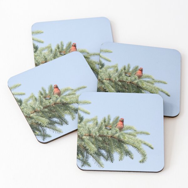 Item preview, House finch looking at you designed and sold by KRFNatureGifts.