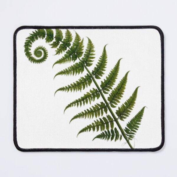 Item preview, Fern leaf designed and sold by Simple Nature Studio.
