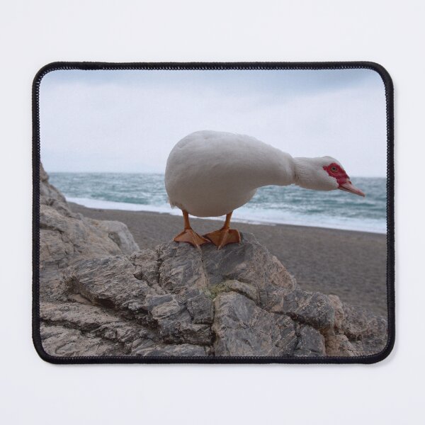 Item preview, 2011 Anatra Muta #02 designed and sold by robertoferrero.