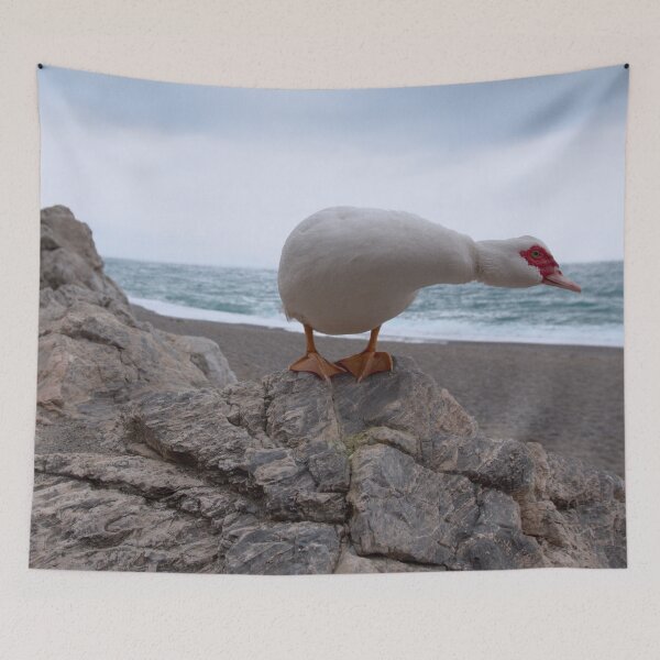 Item preview, 2011 Anatra Muta #02 designed and sold by robertoferrero.