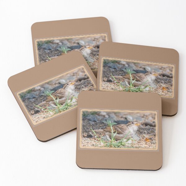 Item preview, Female House Sparrow designed and sold by CarolM.