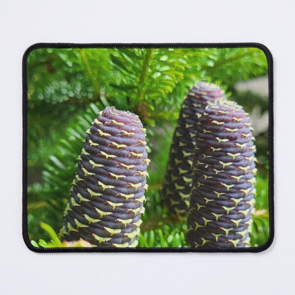 Item preview, Korean fir designed and sold by AnthonyThomas.