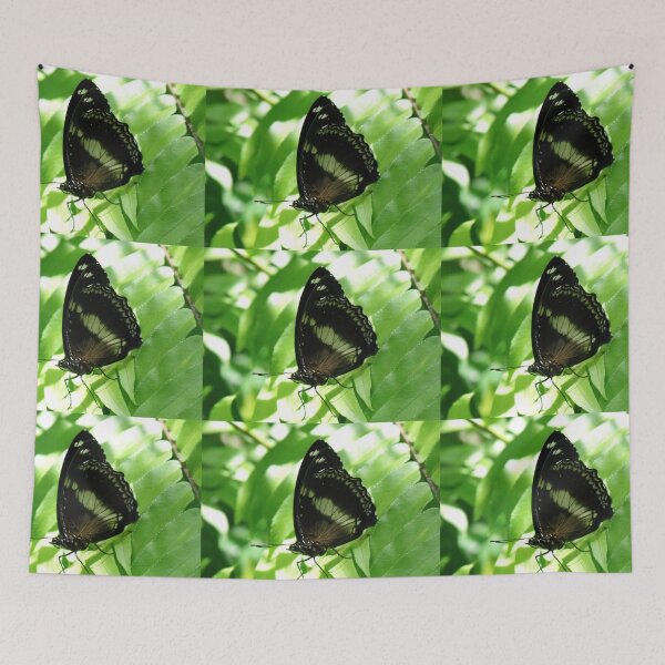 Item preview, Butterfly designed and sold by Kymbo.