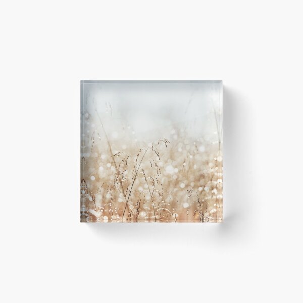 Item preview, Dewdrop Nature Photography, Neutral Dew Drop, Gold White Water Drops designed and sold by Carolyn Cochrane.
