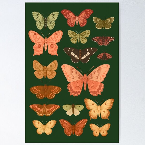 Item preview, Butterfly Specimen Chart – Vintage-Inspired Moths & Butterflies Collection on Forest Green designed and sold by Andrea Lauren.