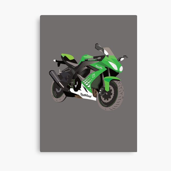 アート Kawasaki ZX10 Ninja Sport Bike Graphic Kit (08-09) AMR