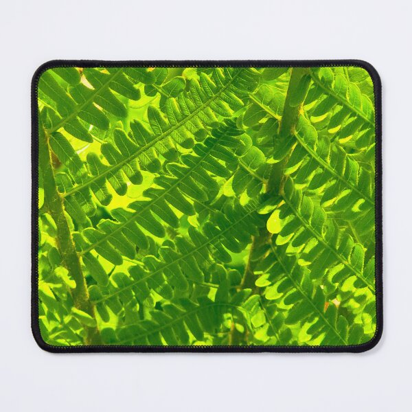 Item preview, Fresh Fern Fronds designed and sold by bjtomiko.