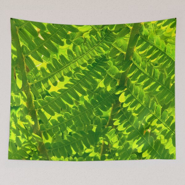 Item preview, Fresh Fern Fronds designed and sold by bjtomiko.