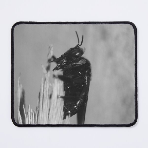 Item preview, Bumblebee designed and sold by ROSE ANN BANILAR.