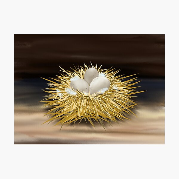 Item preview, Nest of eggs designed and sold by Tanya Crowley.
