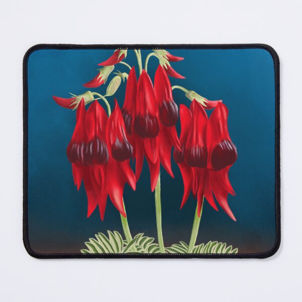 Item preview, Australian Sturt desert pea flower designed and sold by Tanya Crowley.