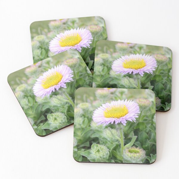Item preview, Seaside Daisy - Erigeron ursinus designed and sold by Kate Anderson Art.